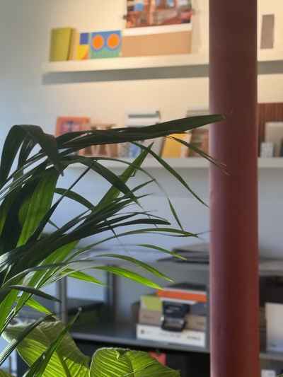 Sheila Bird Studio